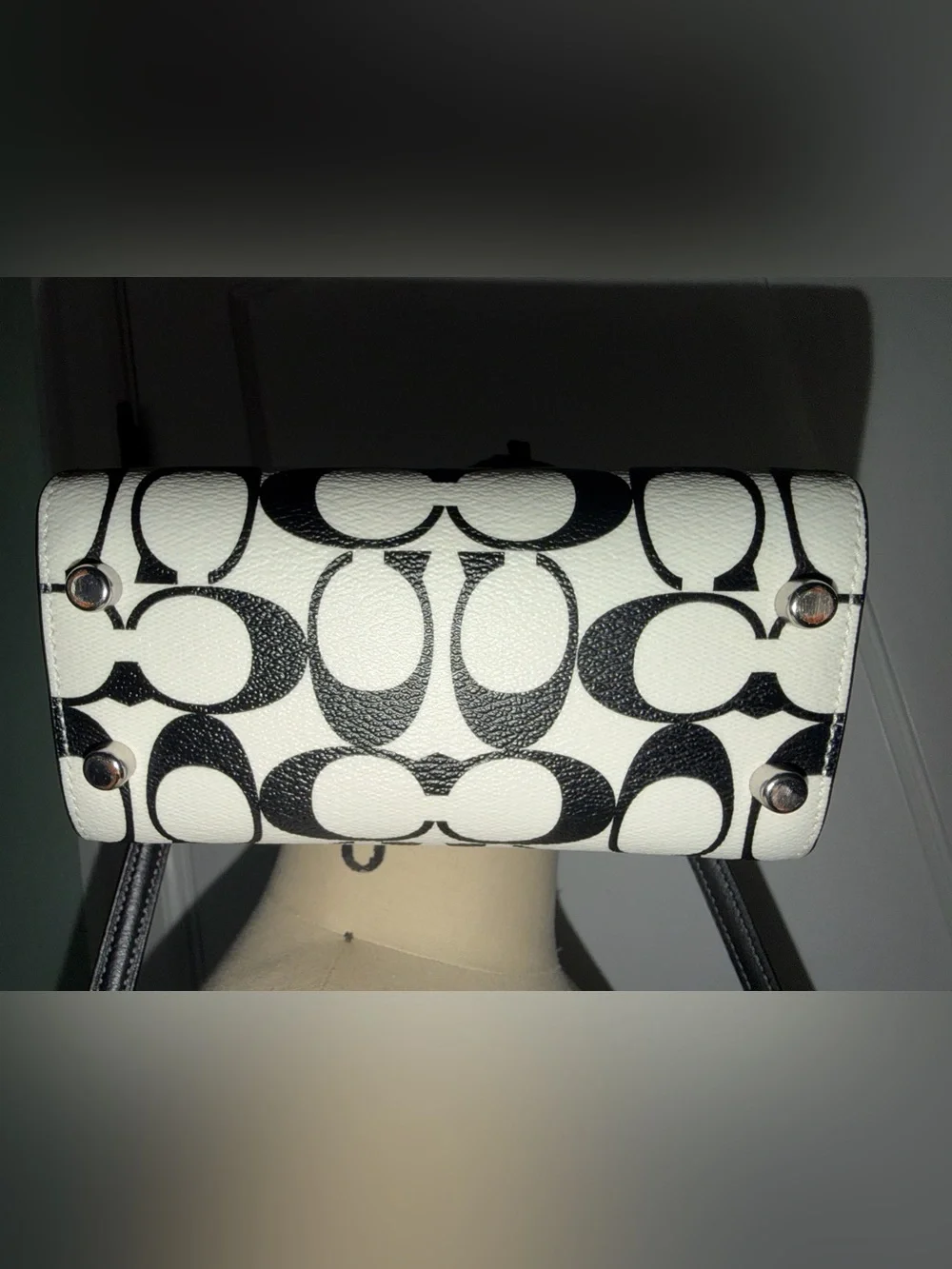 Coach Black & White Andrea Signature Canvas Mini Carryall